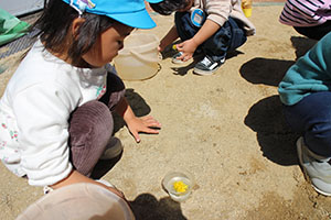 お散歩へでかけました　ぺんぎん