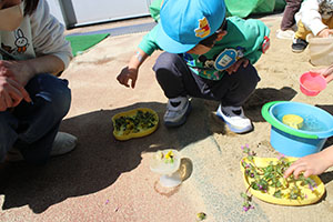 お散歩へでかけました　ぺんぎん