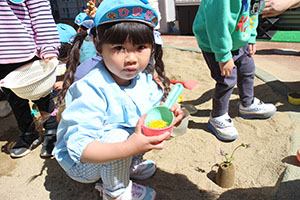 お散歩へでかけました　ぺんぎん