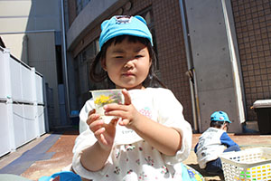 お散歩へでかけました　ぺんぎん