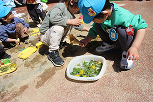 お散歩へでかけました　ぺんぎん