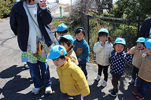 お散歩へでかけました　ぺんぎん