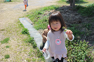 お散歩たのしかったね　ひよこ