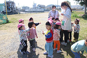 お散歩たのしかったね　ひよこ