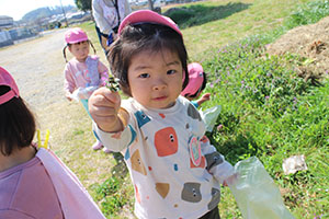 お散歩たのしかったね　ひよこ