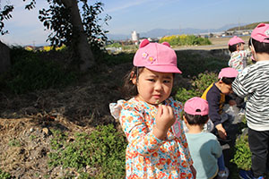 お散歩たのしかったね　ひよこ