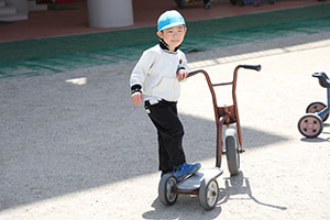 園庭遊び　年中さくら・ばら・ひまわり・たんぽぽ・2歳児ぺんぎん・ひよこ　　　　　・